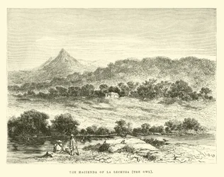 Die Hacienda von La Lechuza, die Eule